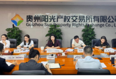 咬定目標(biāo)不放松  攻堅(jiān)克難再向前——貴州陽光產(chǎn)權(quán)交易所召開2024年上半年經(jīng)營分析會